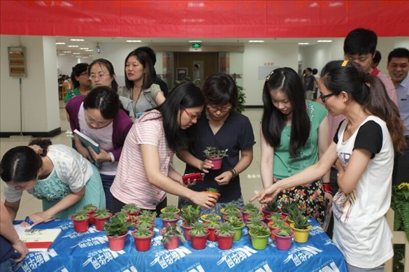 线上博彩平台排名集团团委举办图书换绿植公益活动